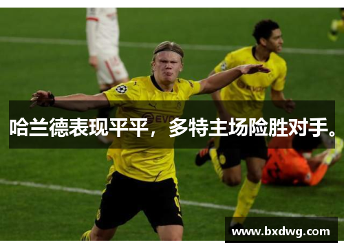 哈兰德表现平平，多特主场险胜对手。